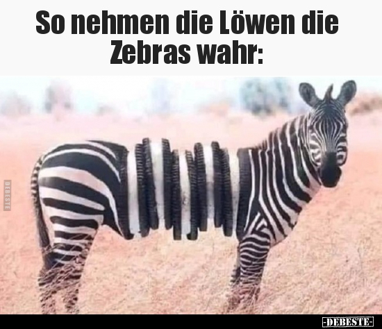 So nehmen die Löwen die Zebras wahr.. - Lustige Bilder | DEBESTE.de