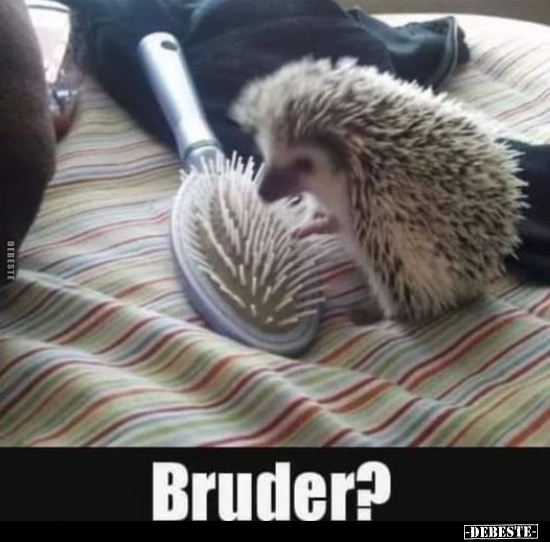 Bruder?.. - Lustige Bilder | DEBESTE.de