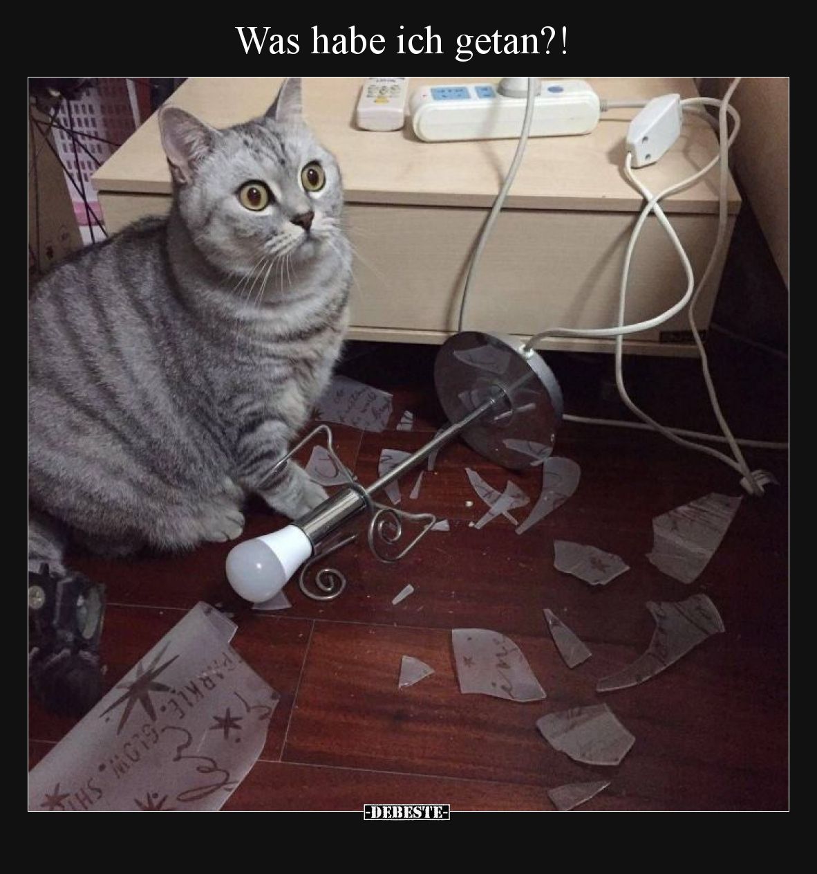 Was habe ich getan?!