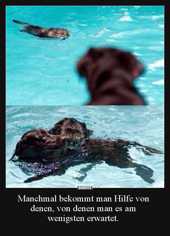 Manchmal bekommt man Hilfe von denen, von denen man es am..