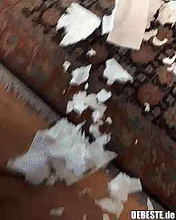 Wenigstens ehrlich..