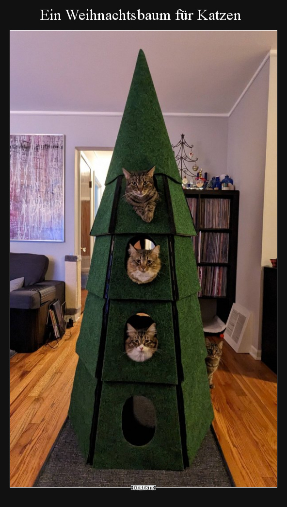 Ein Weihnachtsbaum für Katzen.. - Lustige Bilder | DEBESTE.de