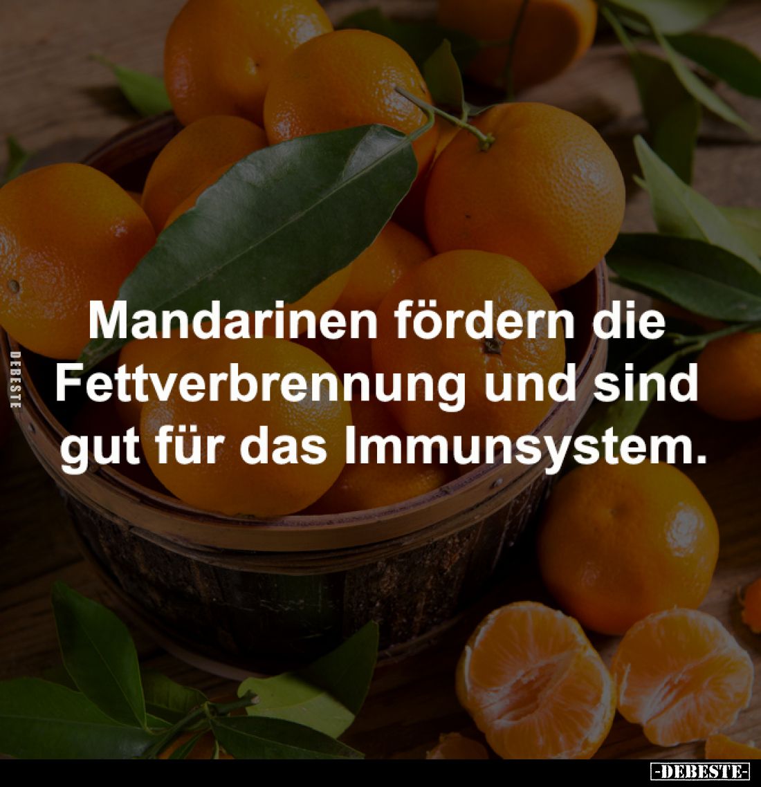 Mandarinen fördern die 
Fettverbrennung und sind 
gut für das Immunsystem.
