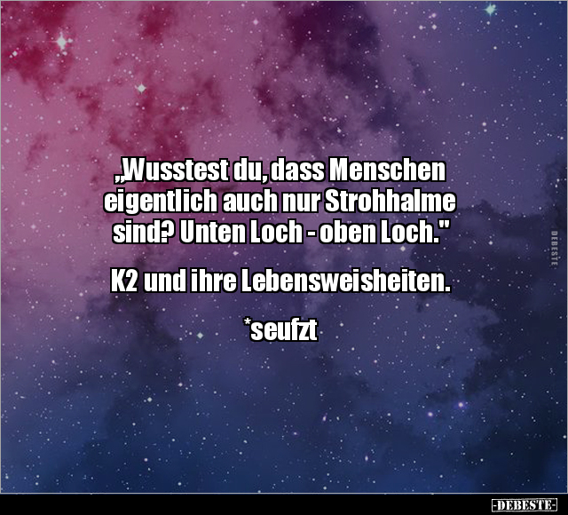 "Wusstest du, dass Menschen eigentlich auch nur Strohhalme.." - Lustige Bilder | DEBESTE.de