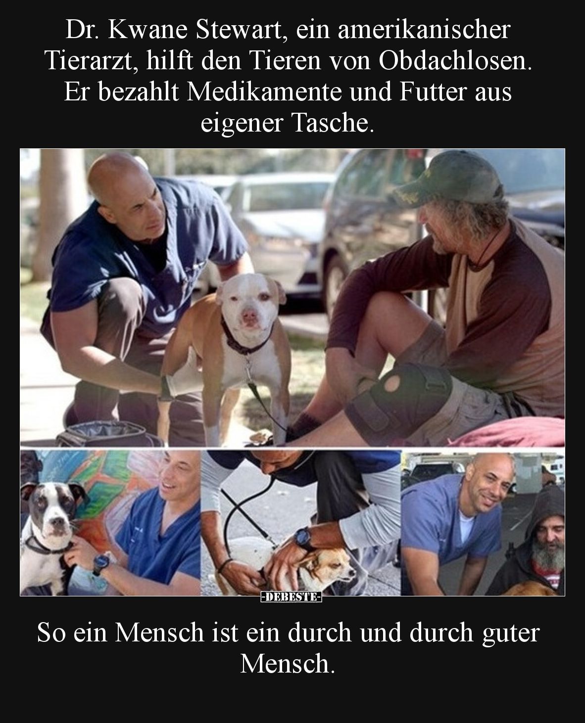 Dr. Kwane Stewart, ein amerikanischer Tierarzt, hilft den.. - Lustige Bilder | DEBESTE.de