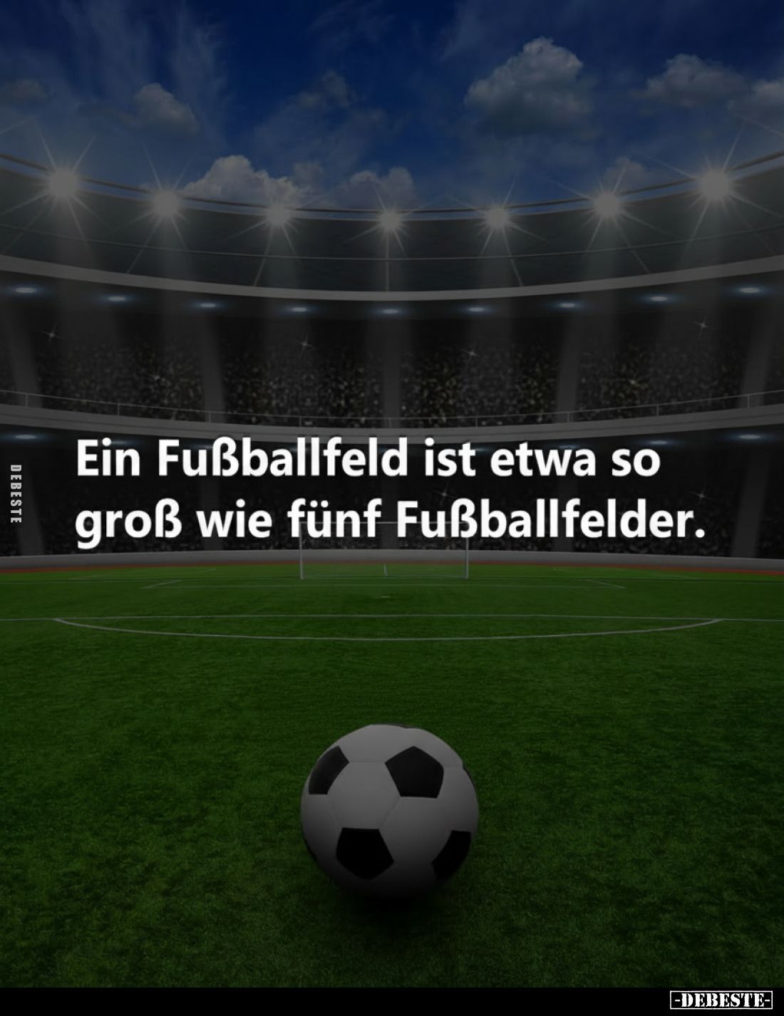 Ein Fußballfeld ist etwa so groß wie fünf.. - Lustige Bilder | DEBESTE.de