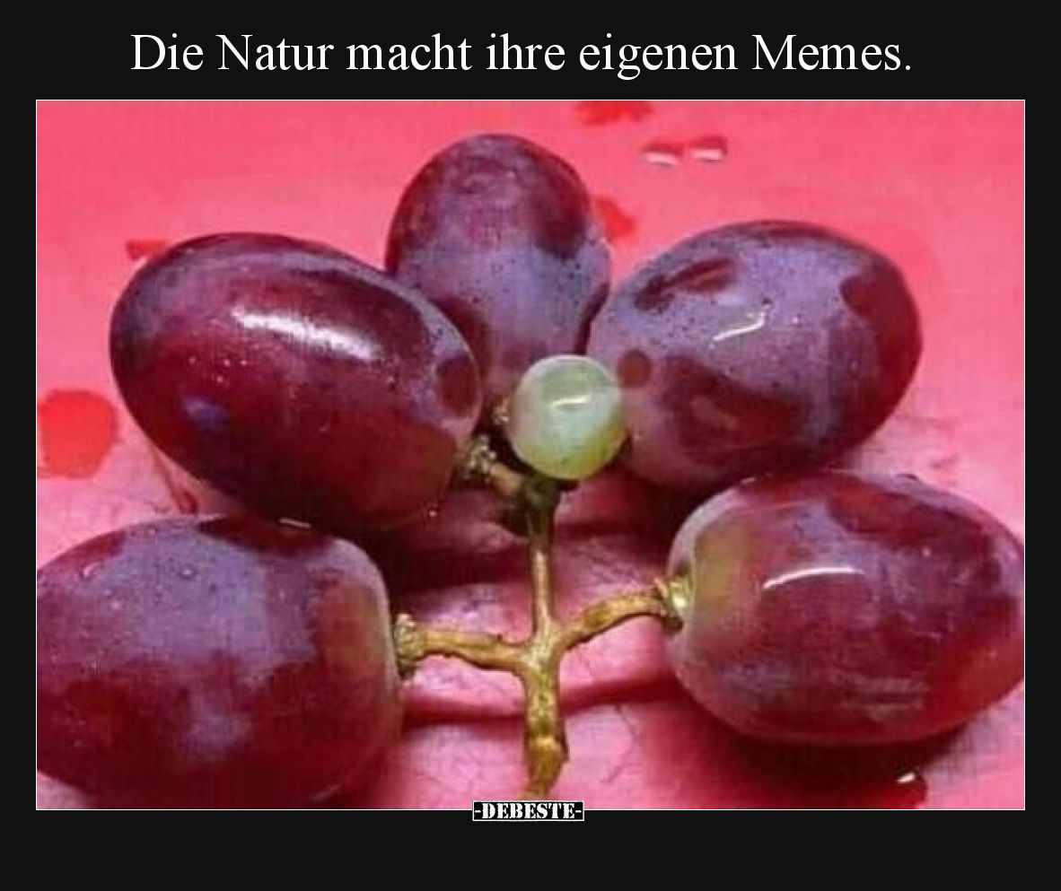 Die Natur macht ihre eigenen Memes.