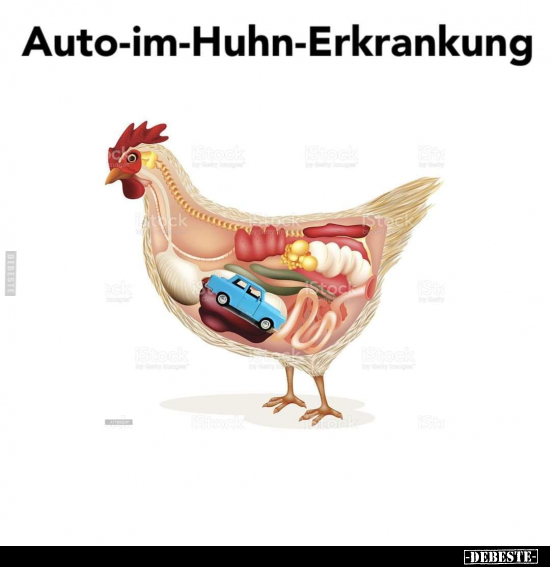 Auto-im-Huhn-Erkrankung.. - Lustige Bilder | DEBESTE.de