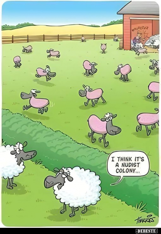 I think it's a nudist colony....