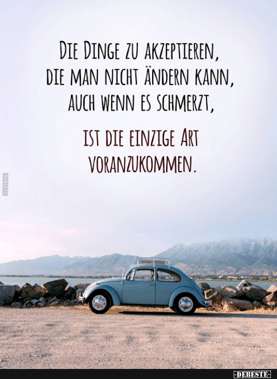 Die Dinge zu akzeptieren, die man nicht ändern kann.. - Lustige Bilder | DEBESTE.de