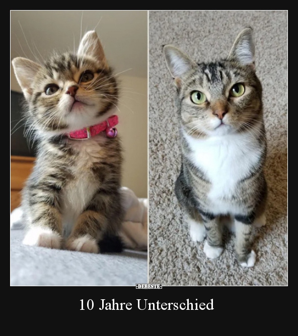10 Jahre Unterschied..
