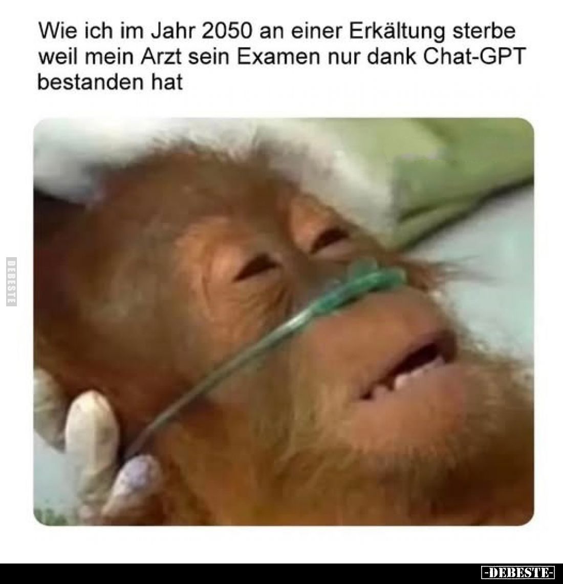 Wie ich im Jahr 2050 an einer Erkältung sterbe, weil mein Arzt sein Examen nur dank Chat-GPT bestanden hat