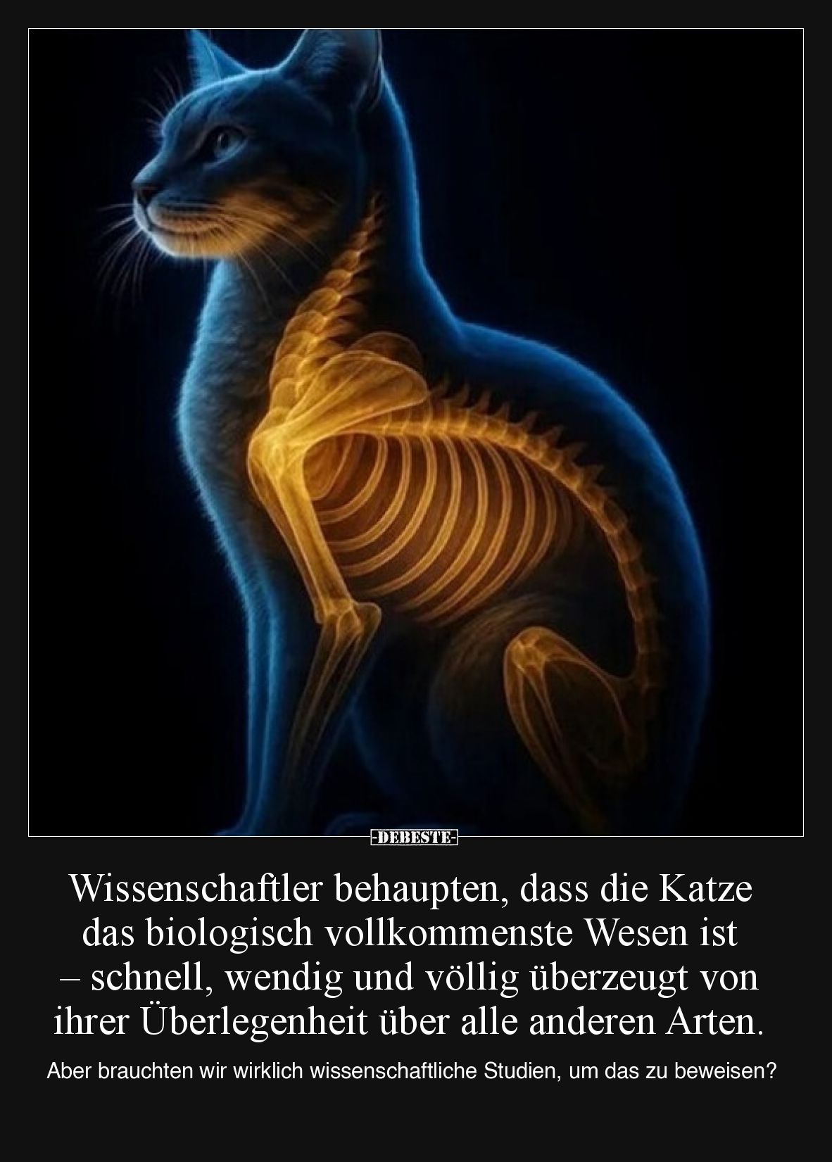 Wissenschaftler behaupten, dass die Katze das biologisch vollkommenste Wesen ist – schnell, wendig und völlig überzeugt von i...