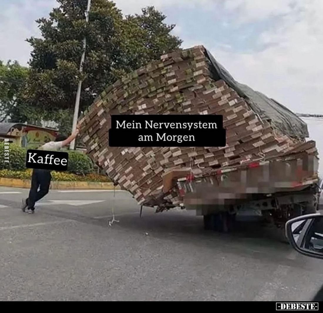 Mein Nervensystem am Morgen und Kaffee.