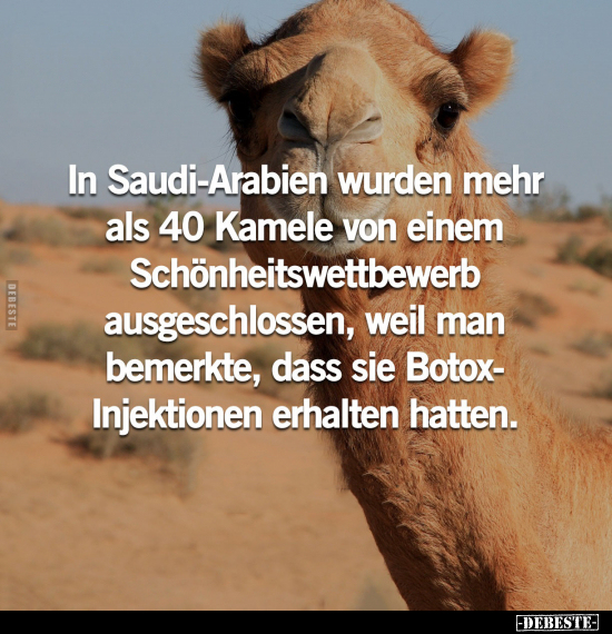 In Saudi-Arabien wurden mehr als 40 Kamele von einem.. - Lustige Bilder | DEBESTE.de
