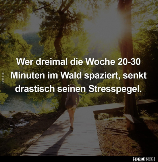 Wer dreimal die Woche 20-30 Minuten im Wald spaziert.. - Lustige Bilder | DEBESTE.de