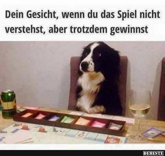 Dein Gesicht, wenn du das Spiel nicht verstehst, aber trotzdem gewinnst..
