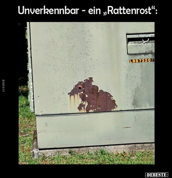 Unverkennbar - ein "Rattenrost".. - Lustige Bilder | DEBESTE.de