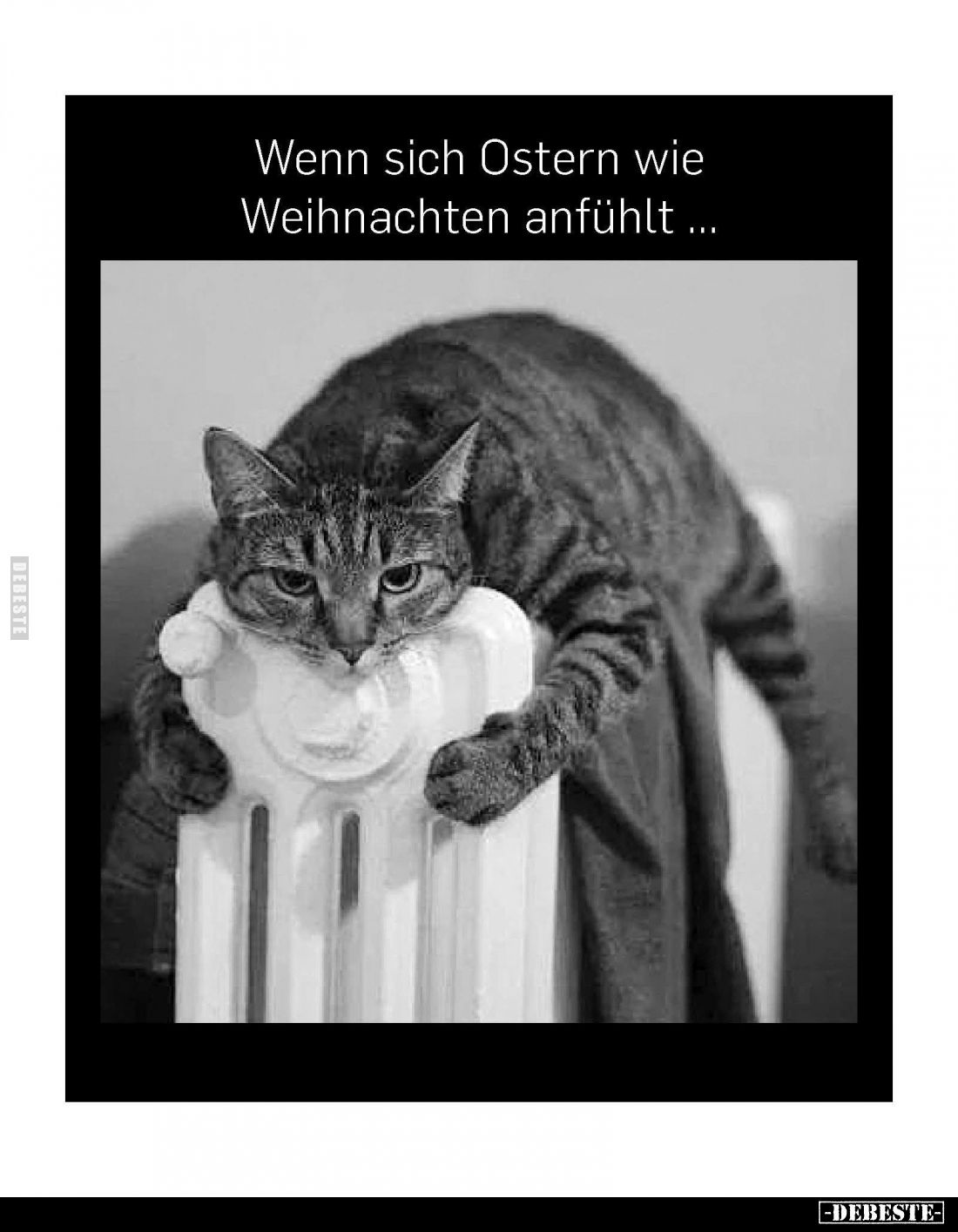 Wenn sich Ostern wie Weihnachten anfühlt... - Lustige Bilder | DEBESTE.de