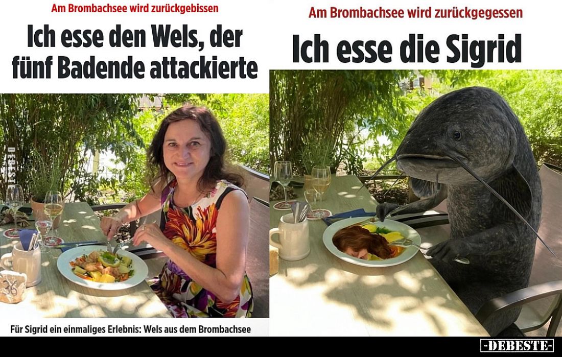 Am Brombachsee wird zurückgebissen. -
Ich esse den Wels, der fünf Badende attackierte.
-
Ich esse die Sigrid.