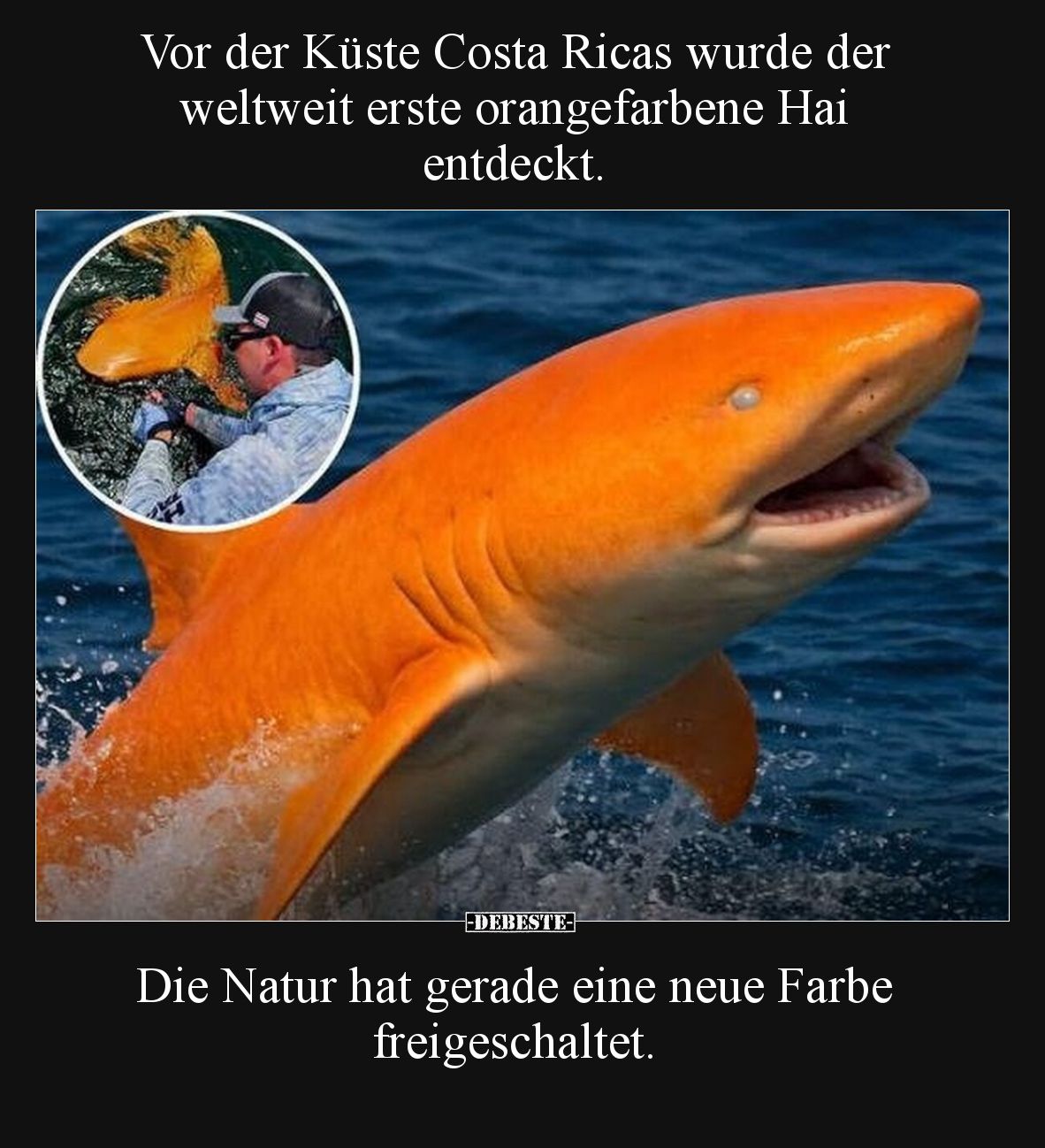 Vor der Küste Costa Ricas wurde der weltweit erste.. - Lustige Bilder | DEBESTE.de