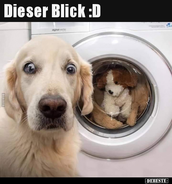 Dieser Blick :D