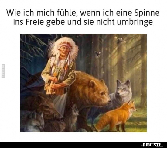 Wie ich mich fühle, wenn ich eine Spinne ins Freie gebe und.. - Lustige Bilder | DEBESTE.de