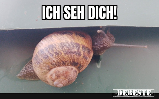 Sah aus, als meinte sie mich - Lustige Bilder | DEBESTE.de