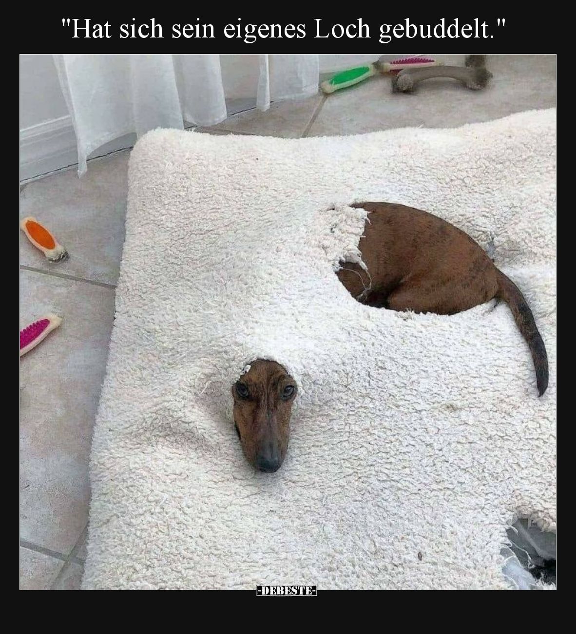 Hat sich sein eigenes Loch gebuddelt.