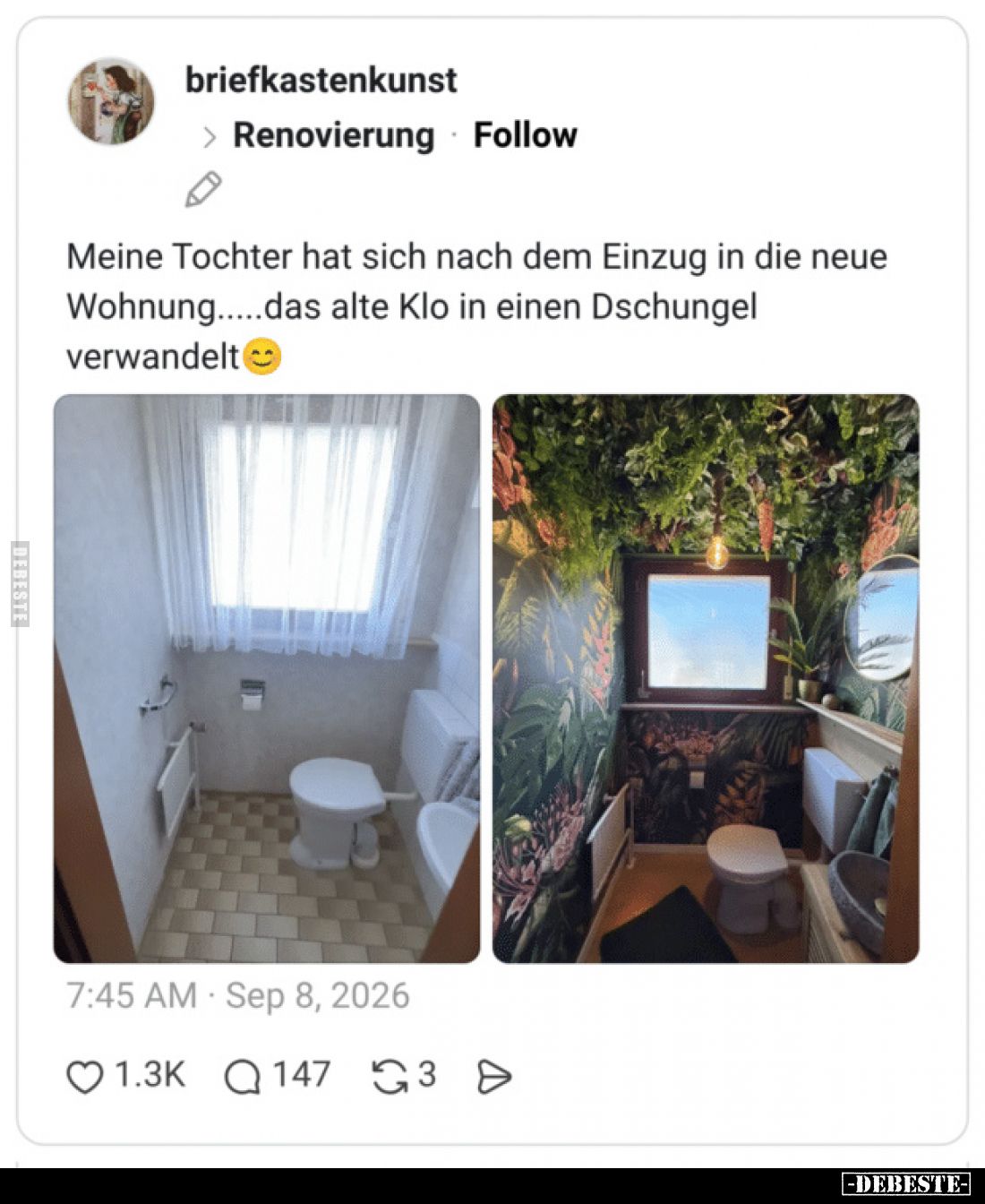 Meine Tochter hat sich nach dem Einzug in die neue Wohnung.....das alte Klo in einen Dschungel verwandelt
