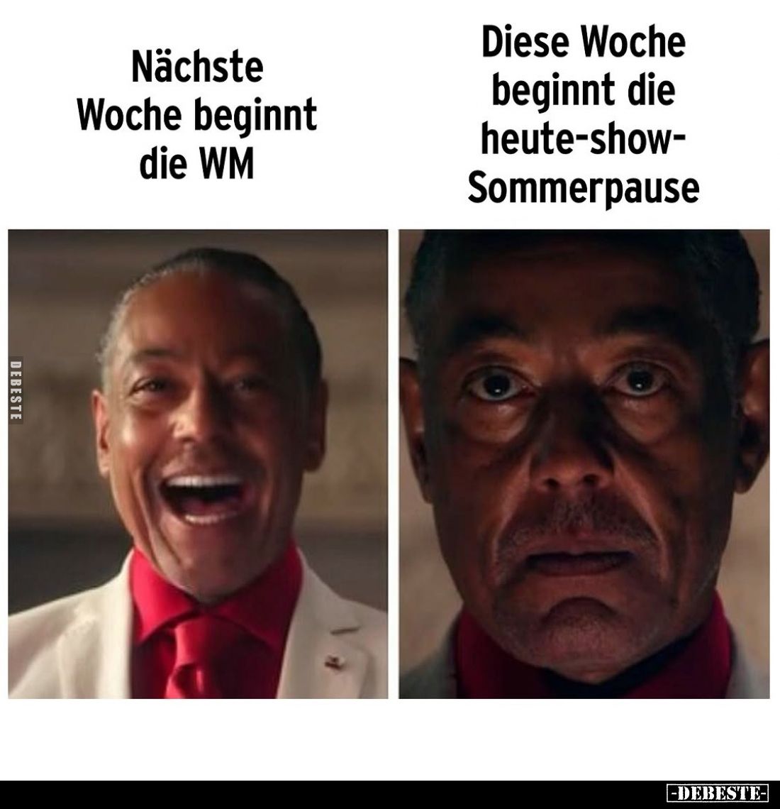 Nächste Woche beginnt die WM /
Diese Woche beginnt die heute-show-Sommerpause