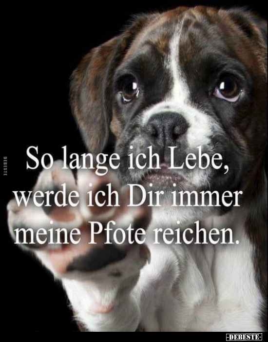 So lange ich lebe, werde ich dir immer meine Pfote..