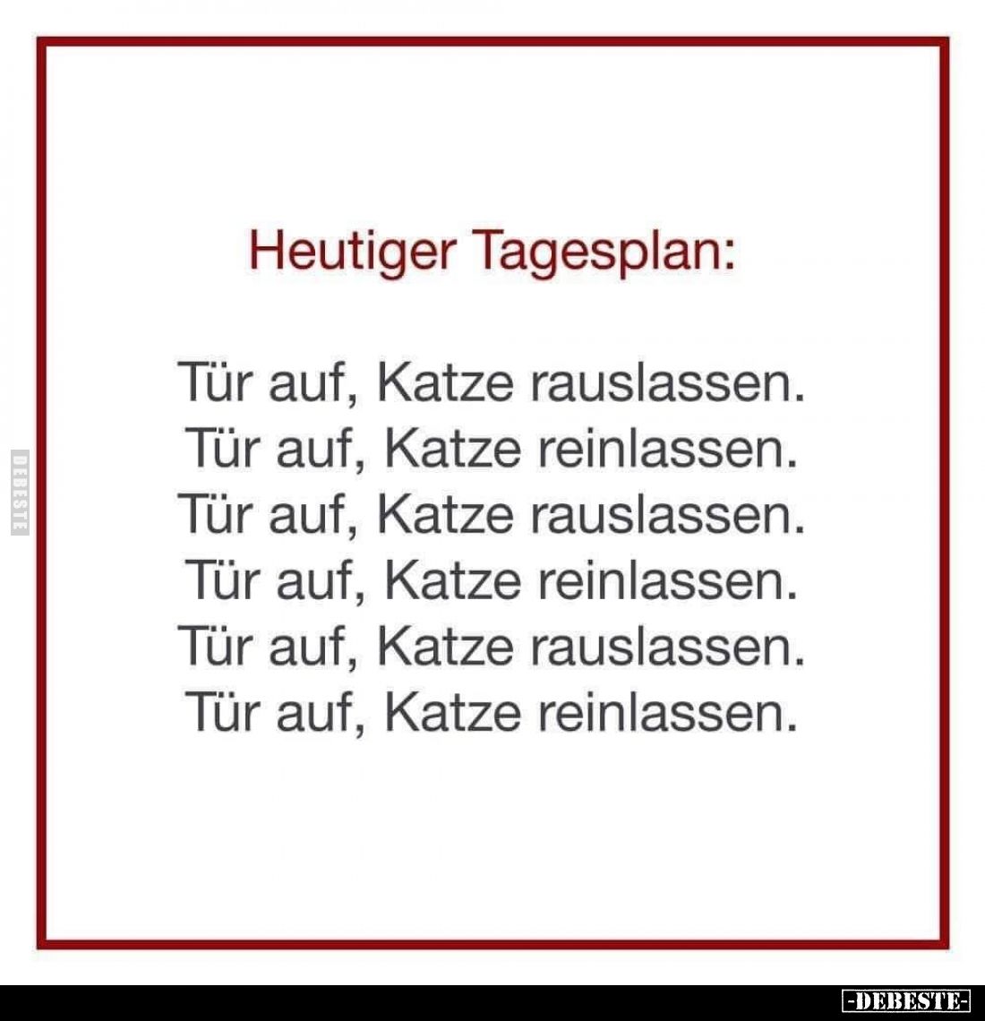 Heutiger Tagesplan:
Tür auf, Katze rauslassen.