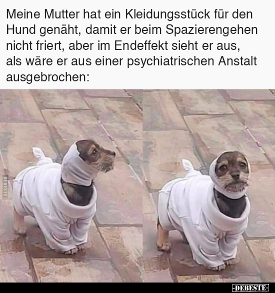 Meine Mutter hat ein Kleidungsstück für den Hund genäht.. - Lustige Bilder | DEBESTE.de