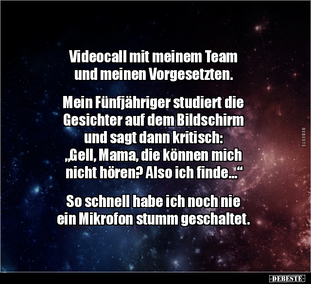 Videocall mit meinem Team und meinen.. - Lustige Bilder | DEBESTE.de