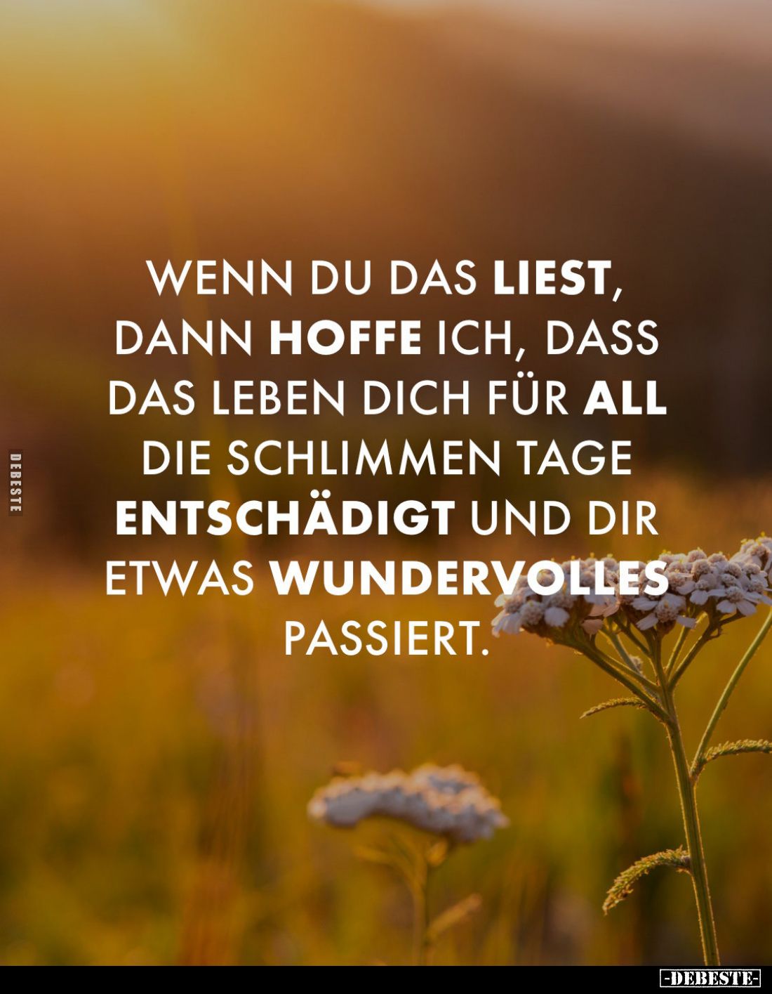 Wenn du das liest, dann hoffe ich, dass das Leben dich für all die schlimmen Tage entschädigt und dir etwas wundervolles pass...