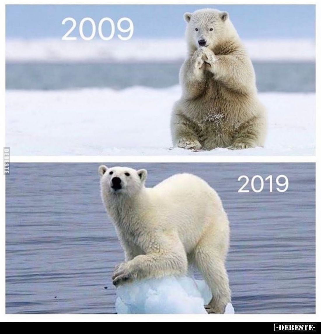 2009 vs 2019.