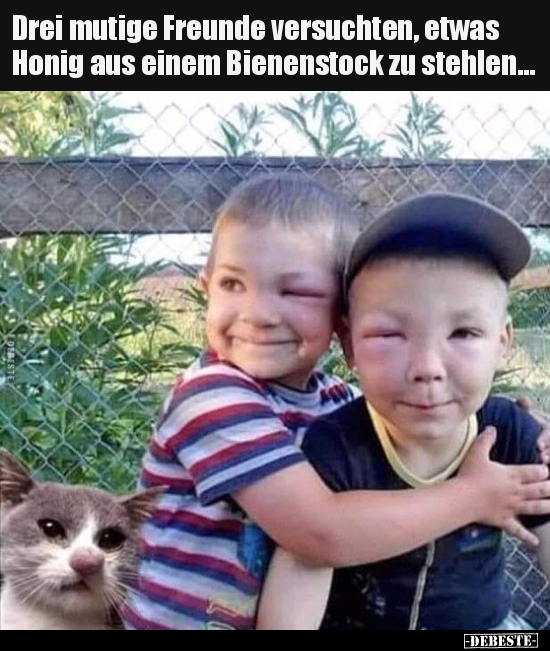 Drei mutige Freunde versuchten, etwas Honig aus einem.. - Lustige Bilder | DEBESTE.de