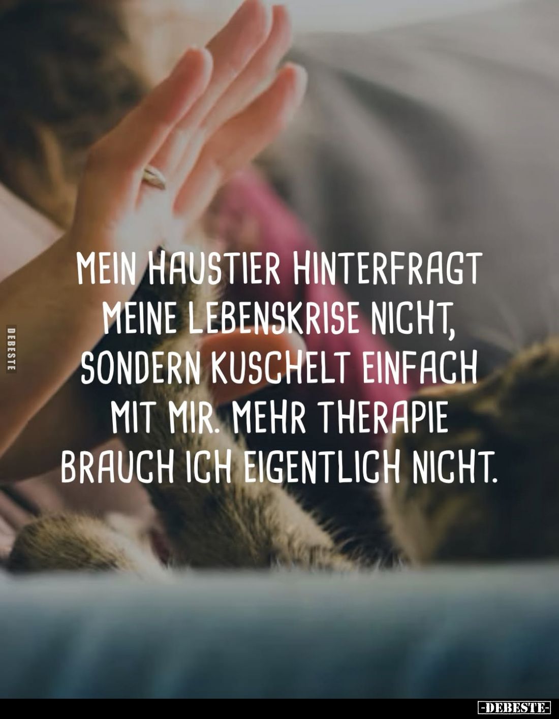 Mein Haustier hinterfragt meine Lebenskrise nicht, sondern kuschelt einfach mit mir. Mehr Therapie brauch ich eigentlich nich...