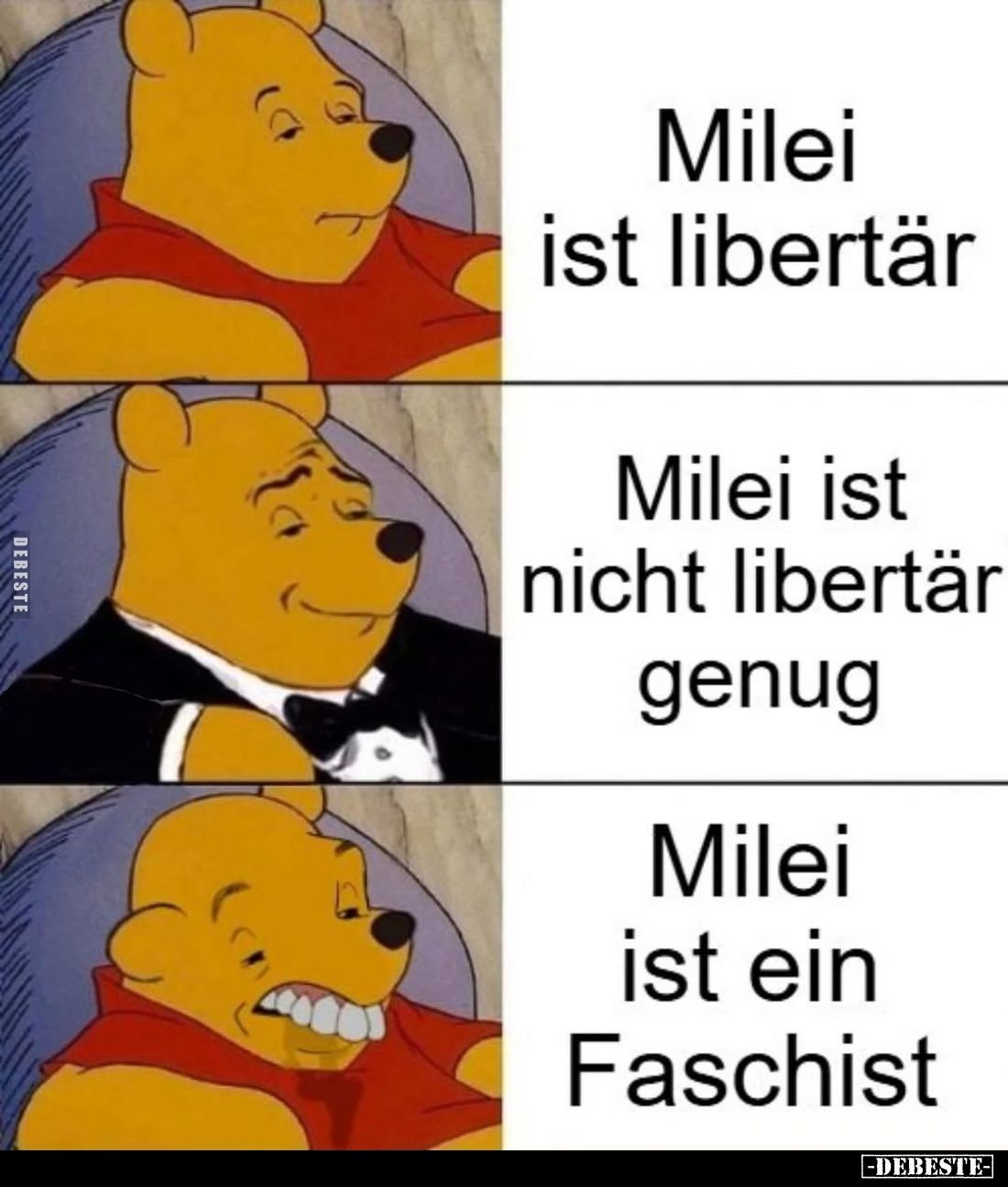 Milei ist libertär.
Milei ist nicht libertär genug.
Milei ist ein Faschist.