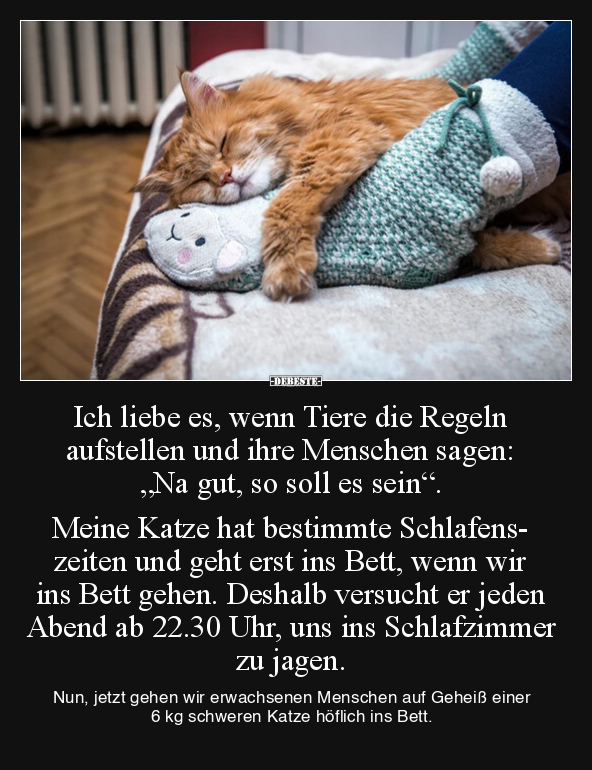 Ich liebe es, wenn Tiere die Regeln aufstellen und ihre.. - Lustige Bilder | DEBESTE.de