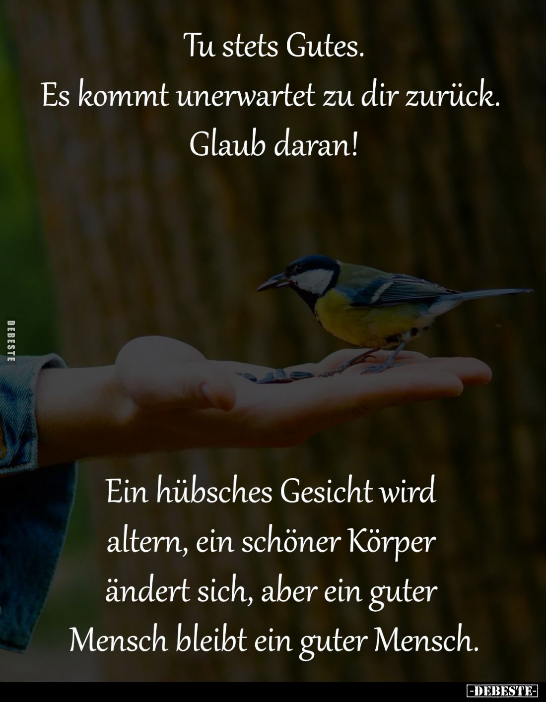 Tu stets Gutes.
Es kommt unerwartet
zu dir zurück. Glaub daran!
Ein hübsches Gesicht wird
altern, ein schöner Körper ...