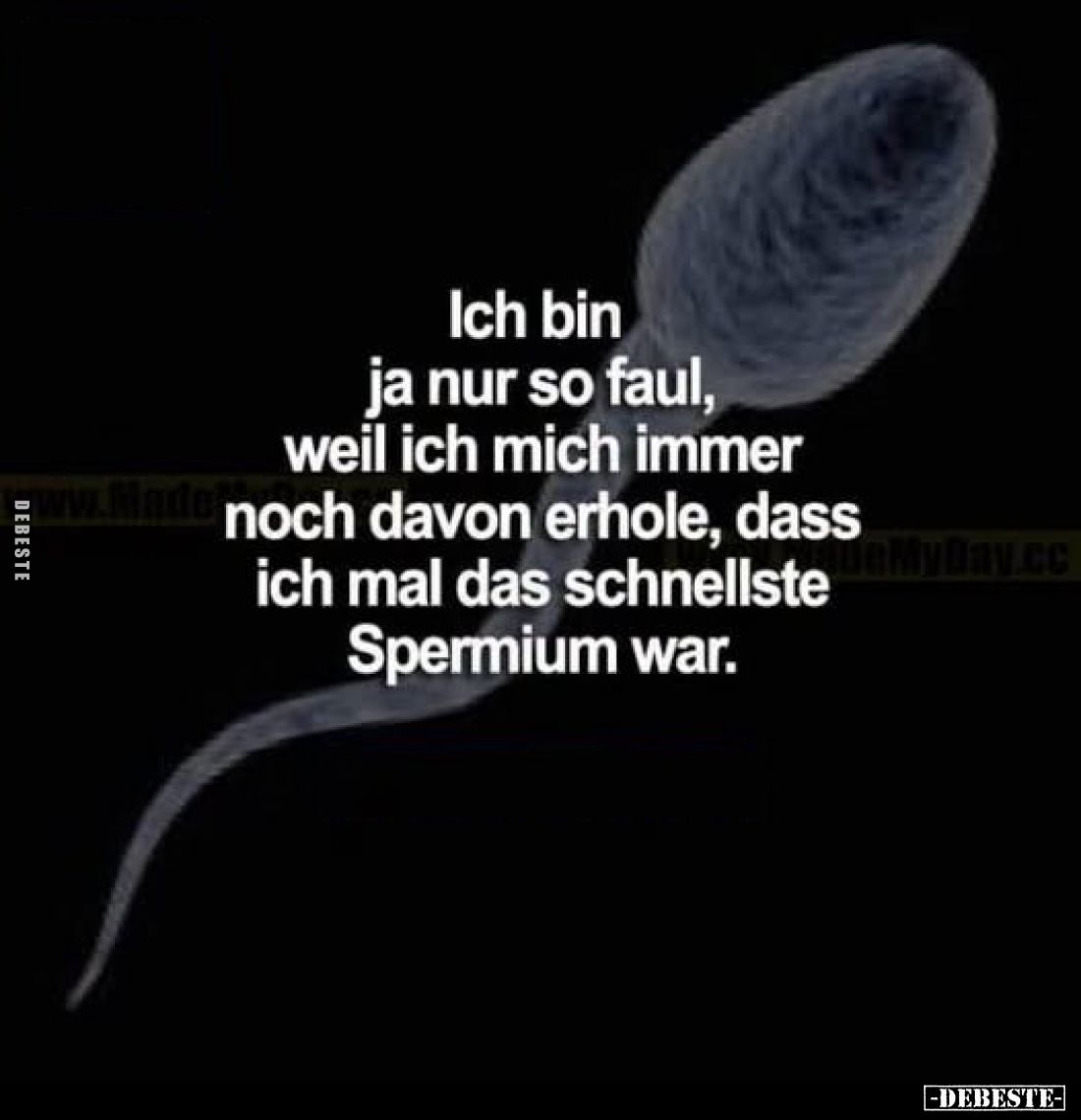Ich bin ja nur so faul, weil ich mich immer noch davon erhole, dass ich mal das schnellste Spermium war.
