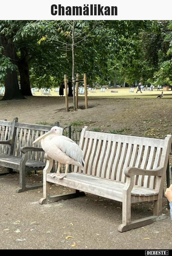 Chamälikan..