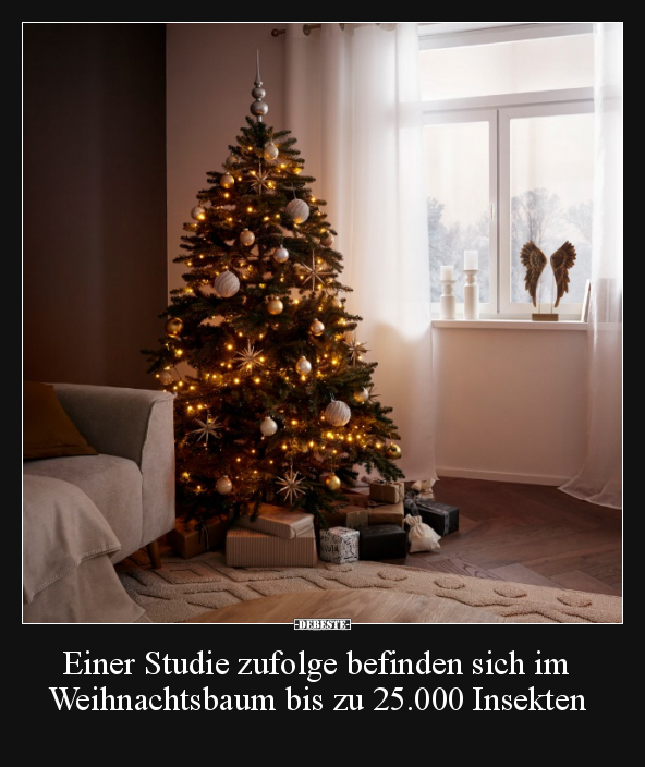 Einer Studie zufolge befinden sich im Weihnachtsbaum.. - Lustige Bilder | DEBESTE.de