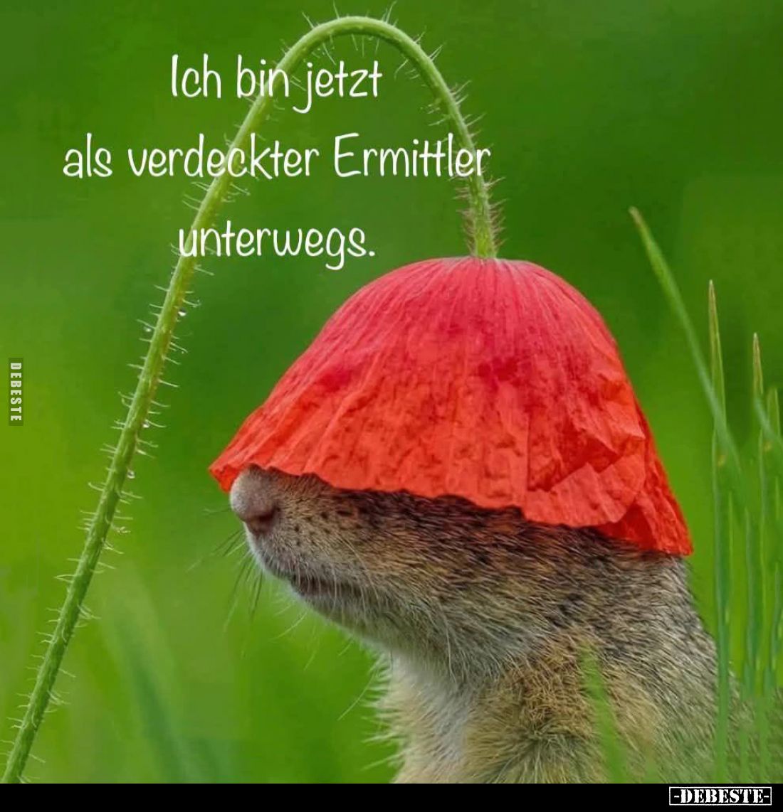 Ich bin jetzt
als verdeckter Ermittler
unterwegs.