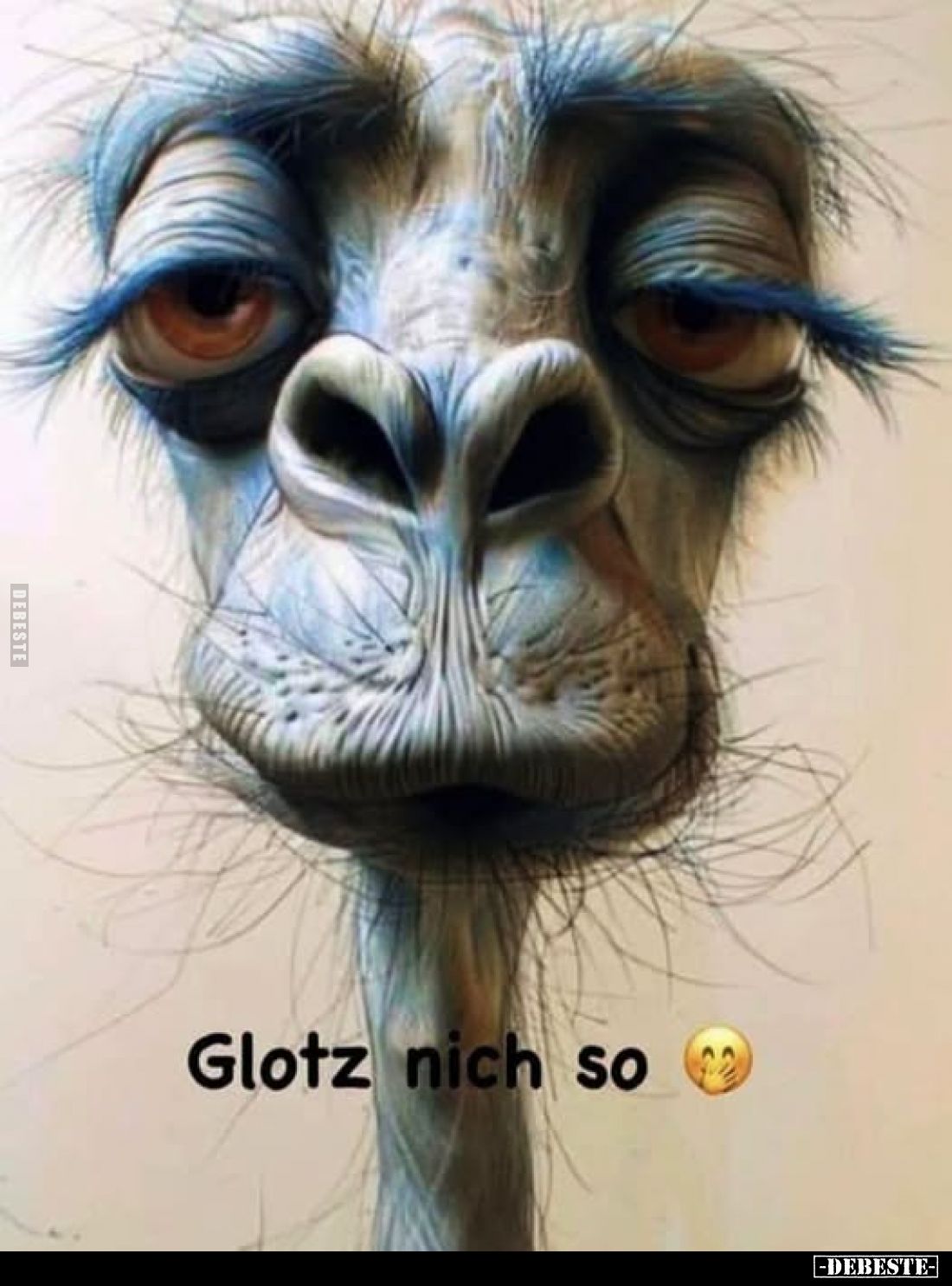 Glotz nich so.. - Lustige Bilder | DEBESTE.de