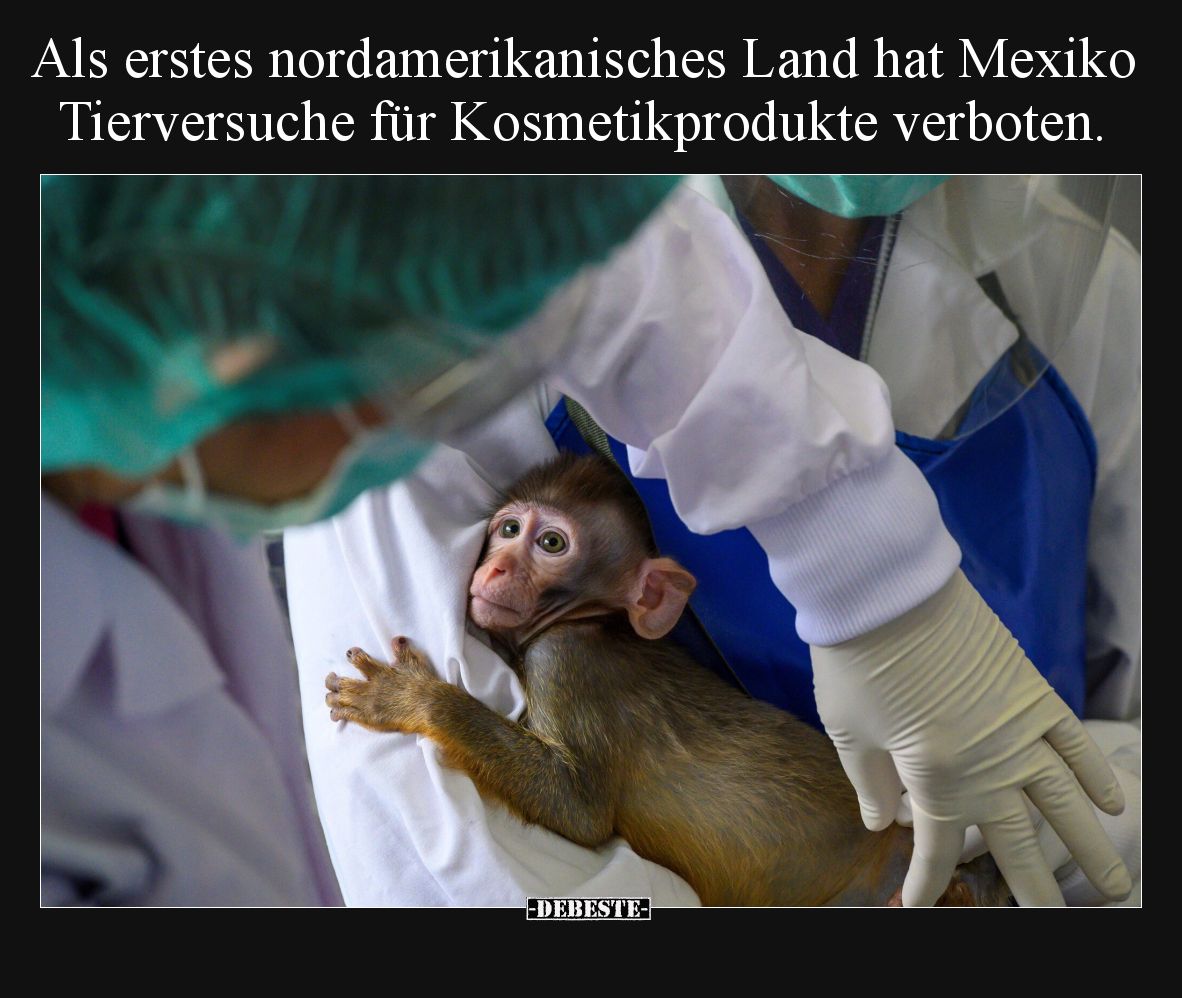 Als erstes nordamerikanisches Land hat Mexiko.. - Lustige Bilder | DEBESTE.de