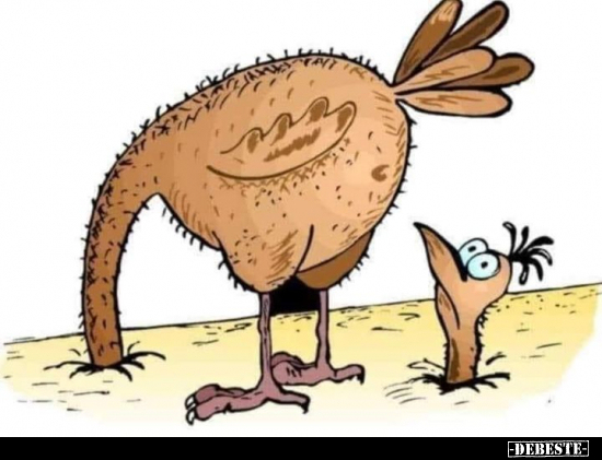  - Lustige Bilder | DEBESTE.de