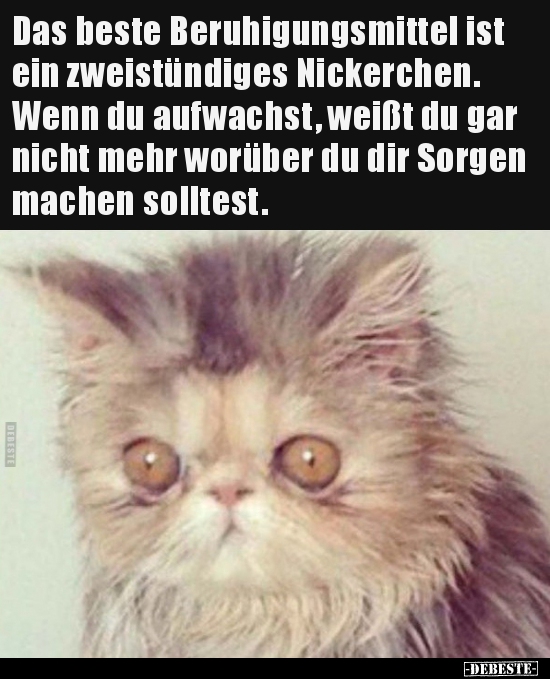 Das beste Beruhigungsmittel ist ein zweistündiges..